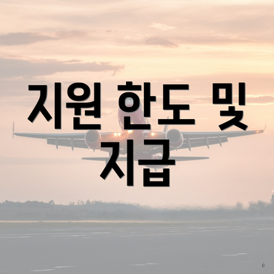 지원 한도 및 지급