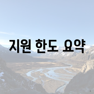 지원 한도 요약