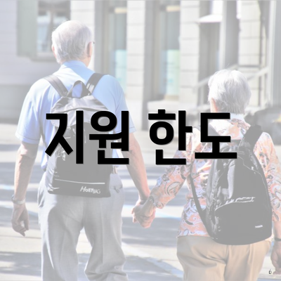 지원 한도