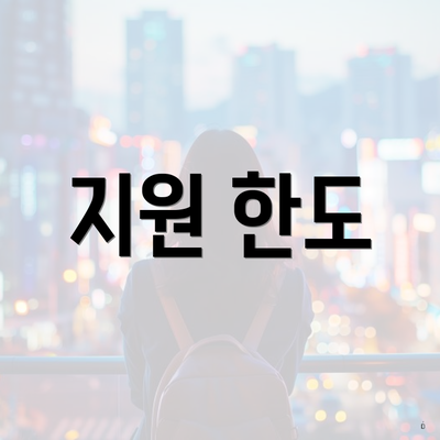 지원 한도