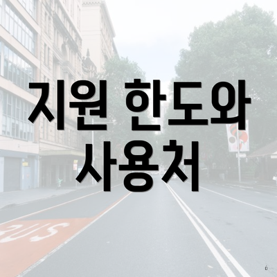 지원 한도와 사용처