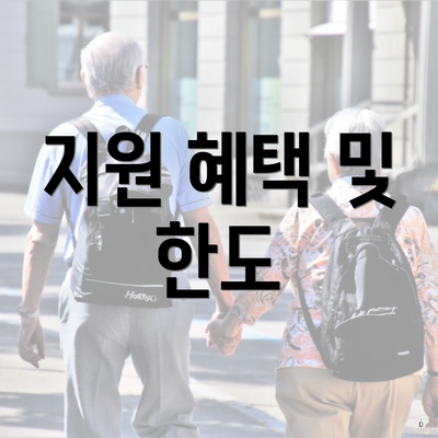 지원 혜택 및 한도