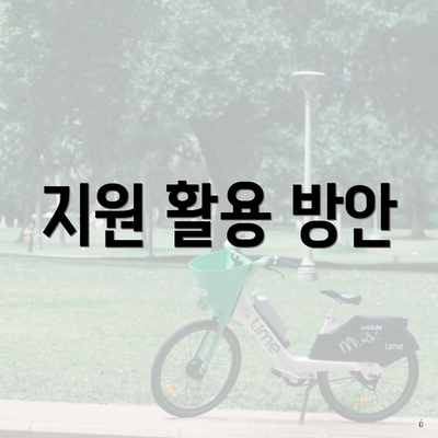 지원 활용 방안