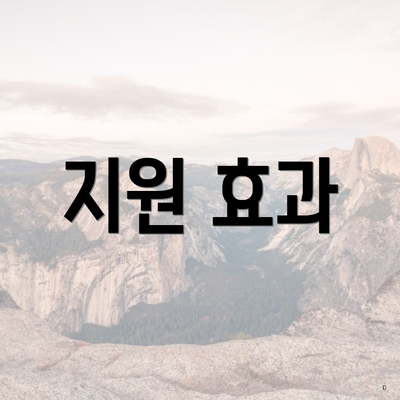 지원 효과