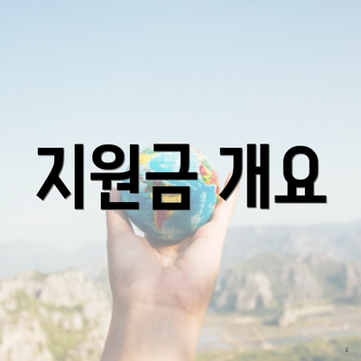 지원금 개요