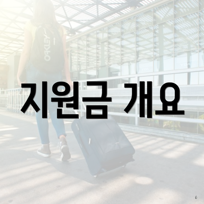 지원금 개요
