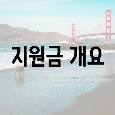 지원금 개요