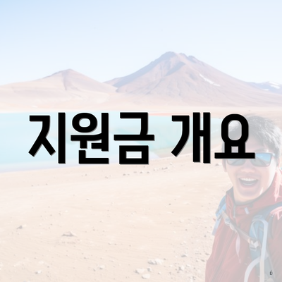 지원금 개요