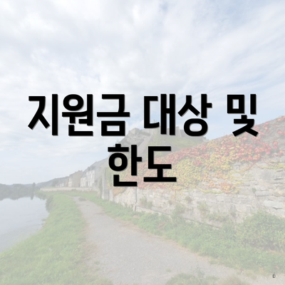 지원금 대상 및 한도