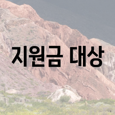 지원금 대상