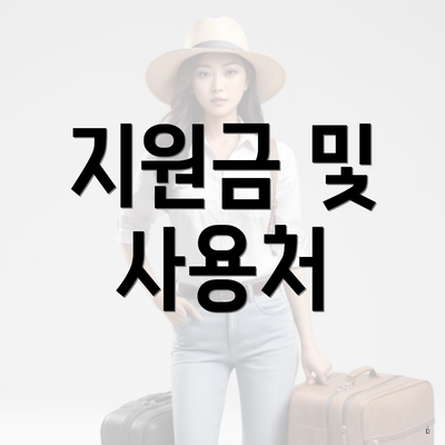 지원금 및 사용처