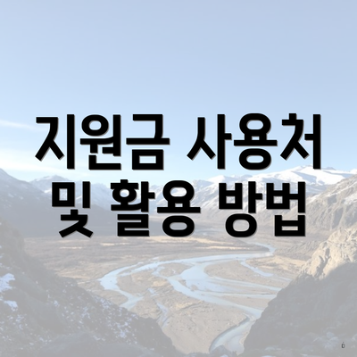 지원금 사용처 및 활용 방법