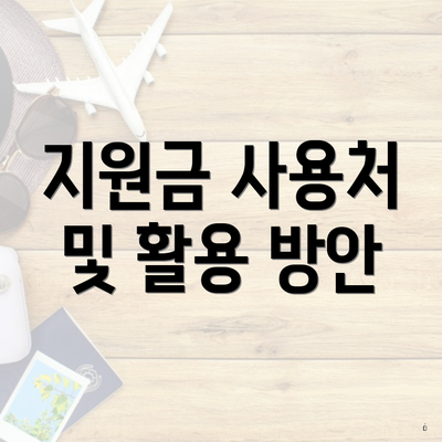 지원금 사용처 및 활용 방안