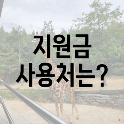 지원금 사용처는?