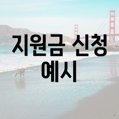 지원금 신청 예시