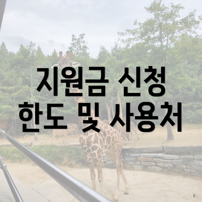 지원금 신청 한도 및 사용처