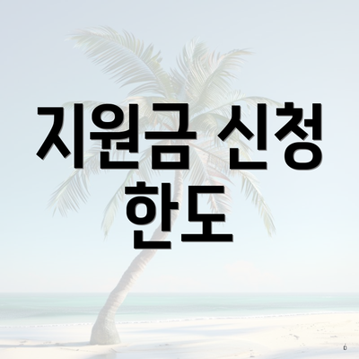 지원금 신청 한도