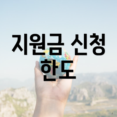 지원금 신청 한도