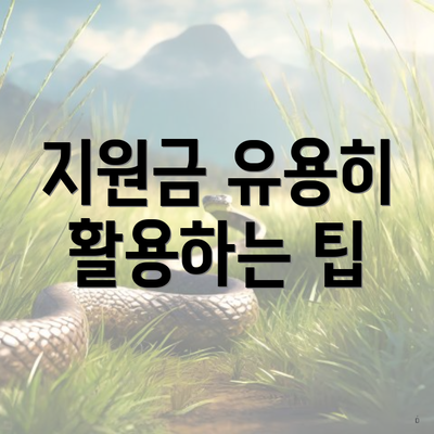 지원금 유용히 활용하는 팁
