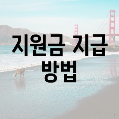 지원금 지급 방법