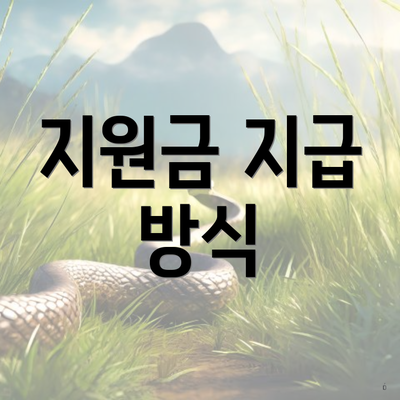 지원금 지급 방식