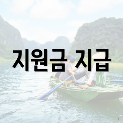 지원금 지급