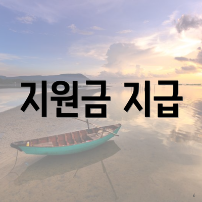 지원금 지급