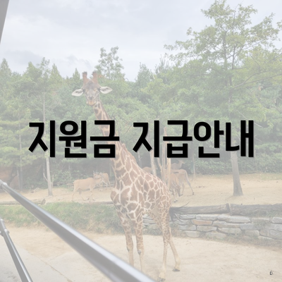 지원금 지급안내