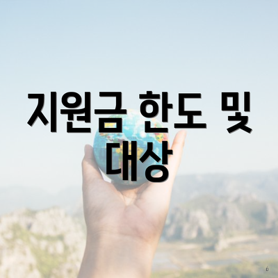 지원금 한도 및 대상