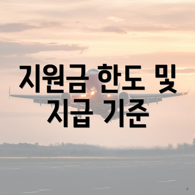 지원금 한도 및 지급 기준