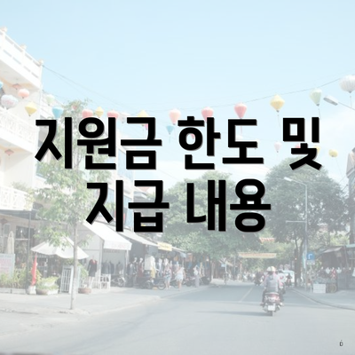 지원금 한도 및 지급 내용