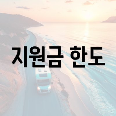 지원금 한도