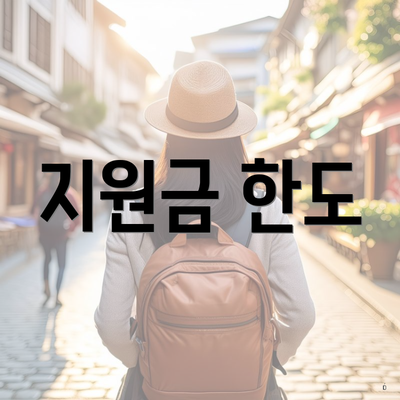 지원금 한도
