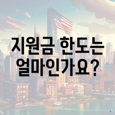 지원금 한도는 얼마인가요?