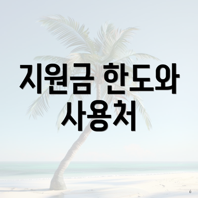 지원금 한도와 사용처