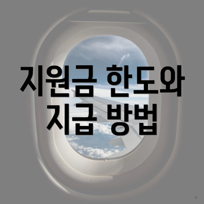 지원금 한도와 지급 방법