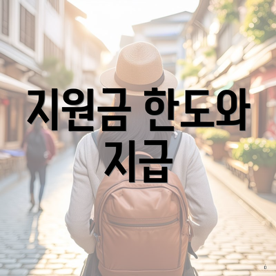 지원금 한도와 지급
