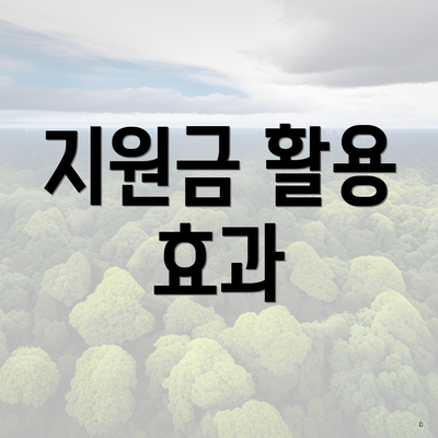 지원금 활용 효과