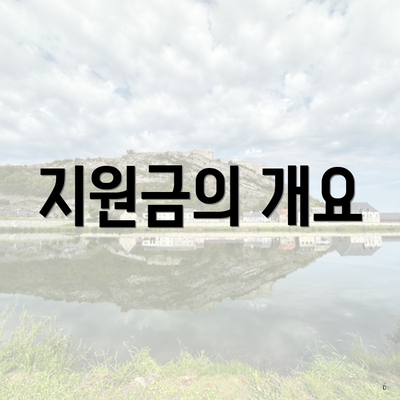 지원금의 개요