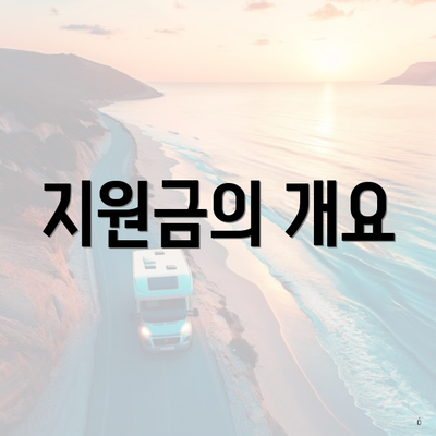 지원금의 개요