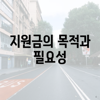 지원금의 목적과 필요성