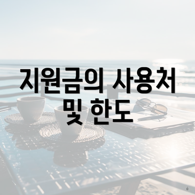 지원금의 사용처 및 한도
