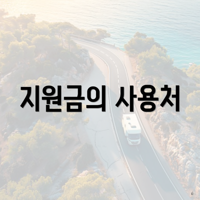 지원금의 사용처