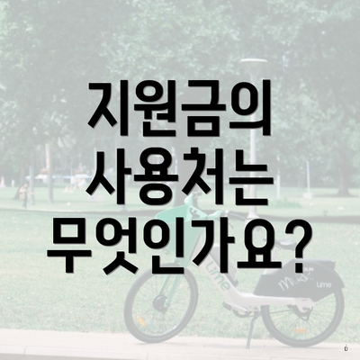 지원금의 사용처는 무엇인가요?