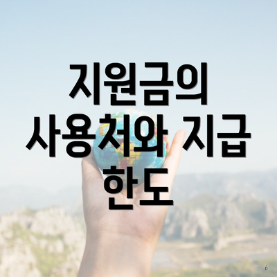 지원금의 사용처와 지급 한도