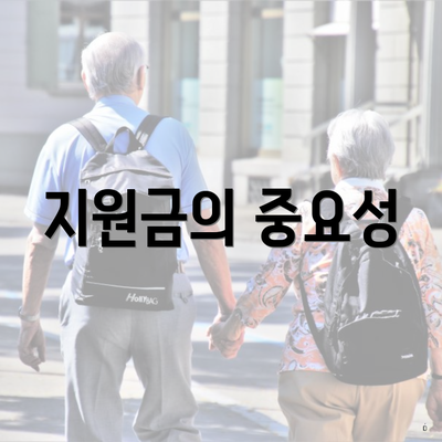 지원금의 중요성