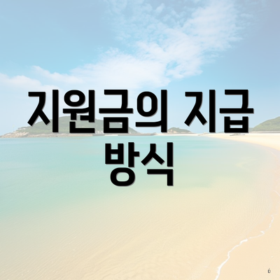 지원금의 지급 방식