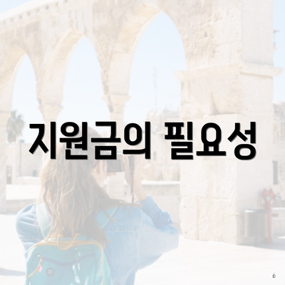 지원금의 필요성