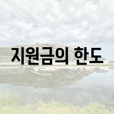 지원금의 한도