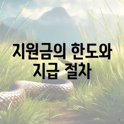지원금의 한도와 지급 절차